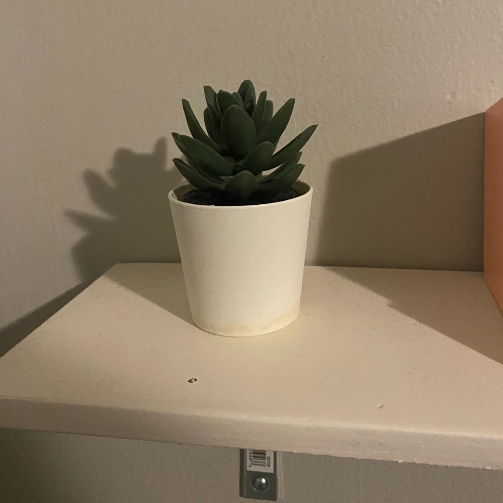 Artificial Plant